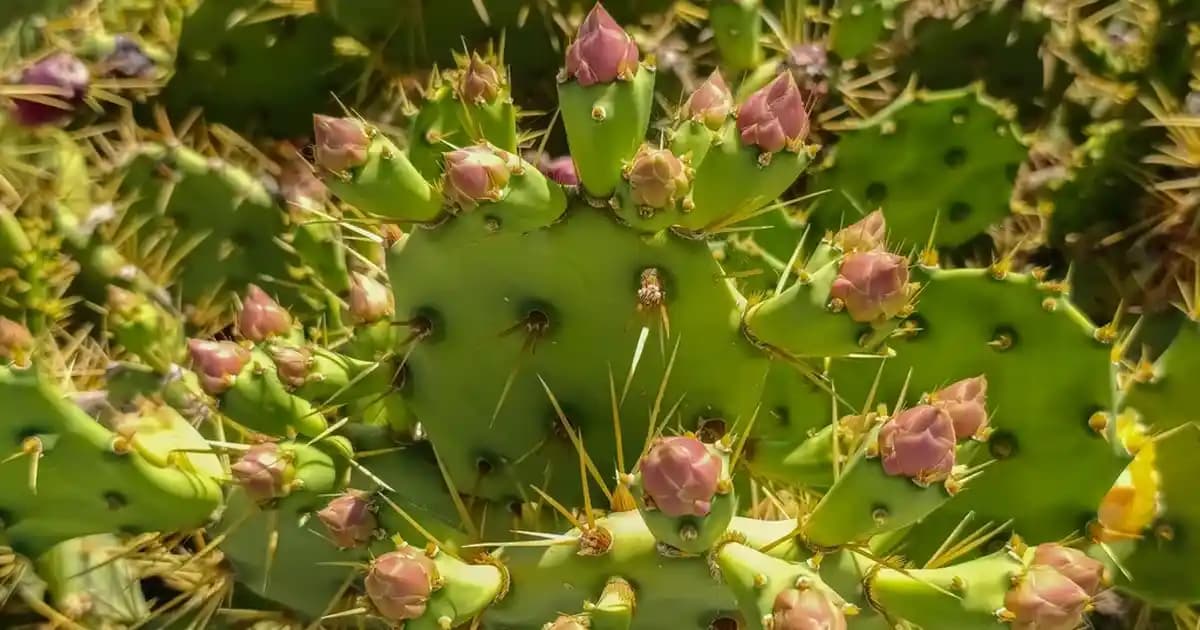 İşletmeler ve Mekanlar İçin Modern ve Çekici Işıklı Tabela Dekorasyon Çözümleri