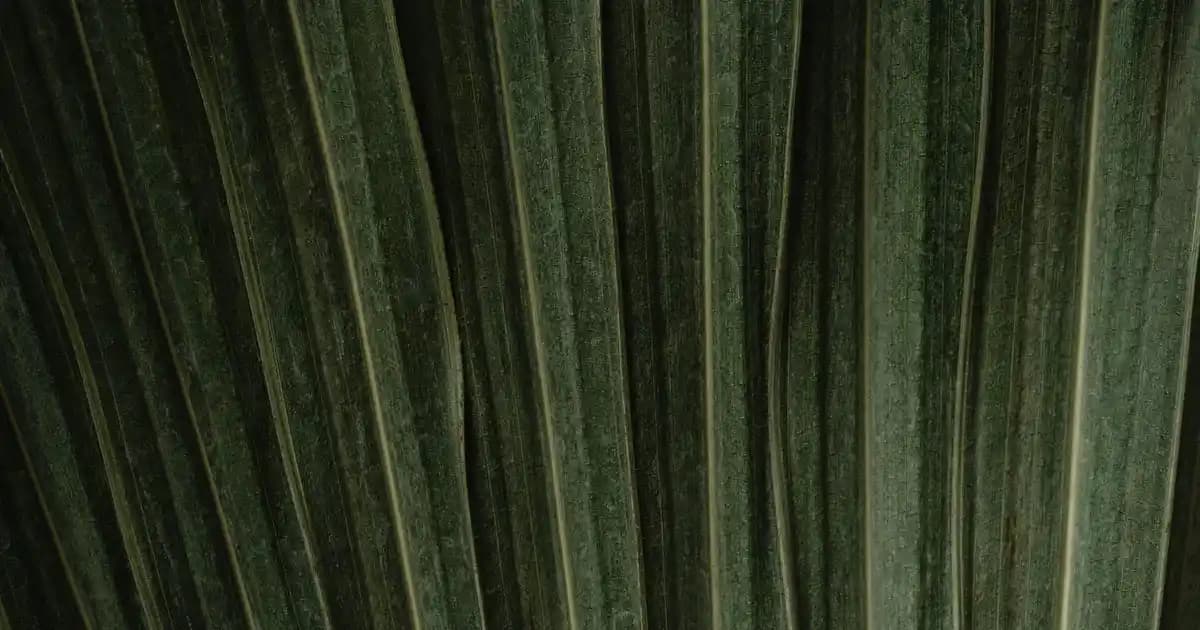 Mikrofiber Yorgan ile Dekorasyonda Konfor ve Estetiğin Modern Buluşması