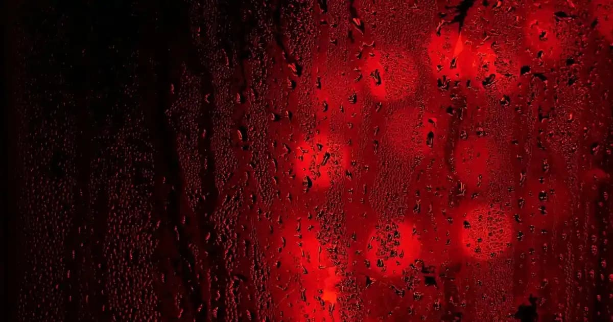 Mutfağınıza Şıklık ve Fonksiyonellik Katacak Çay Şeker Saklama Kabı Seçenekleri