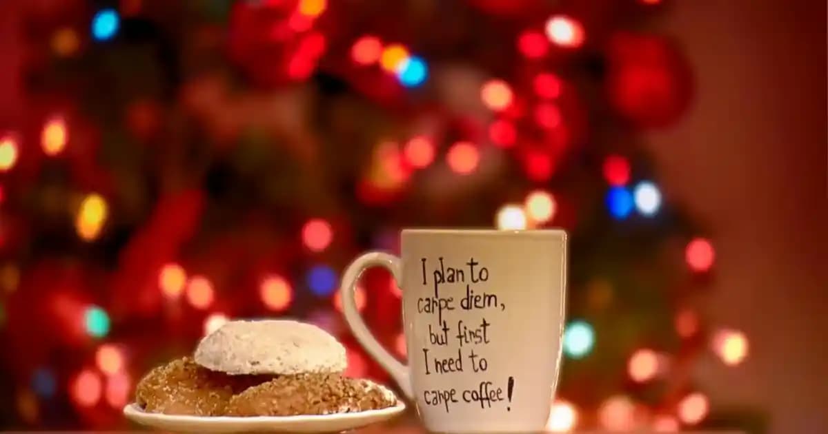 Oda Dekorasyonunda Şıklık ve Konfor Sağlayan Oda Terliği Seçenekleri