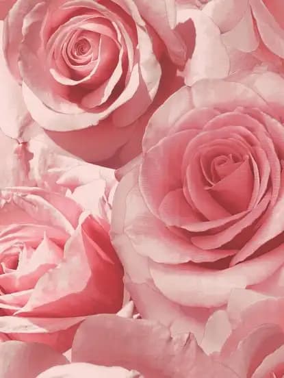 Pembe Gül Desenli Duvar Kağıdıyla Dekorasyonda Zarafet ve Romantizm Yaratın