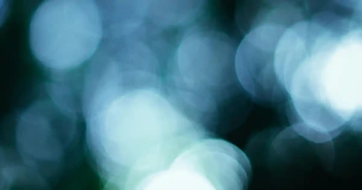 Porselen Sabunluklar ile Dekorasyonda Zarafet ve İşlevselliğin Buluşması