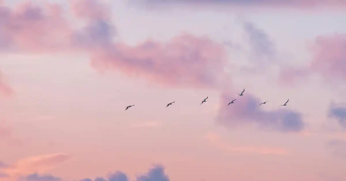 Püsküllü Yatak Örtüsü Seçenekleri ve Dekorasyonda Kullanım İpuçları