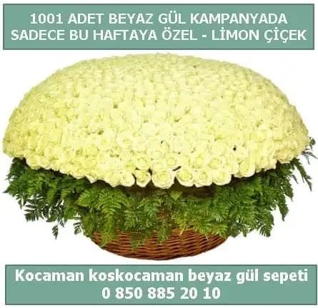Siirt Çiçek Sepeti ile Doğal ve Zarif Dekorasyon Çözümleri