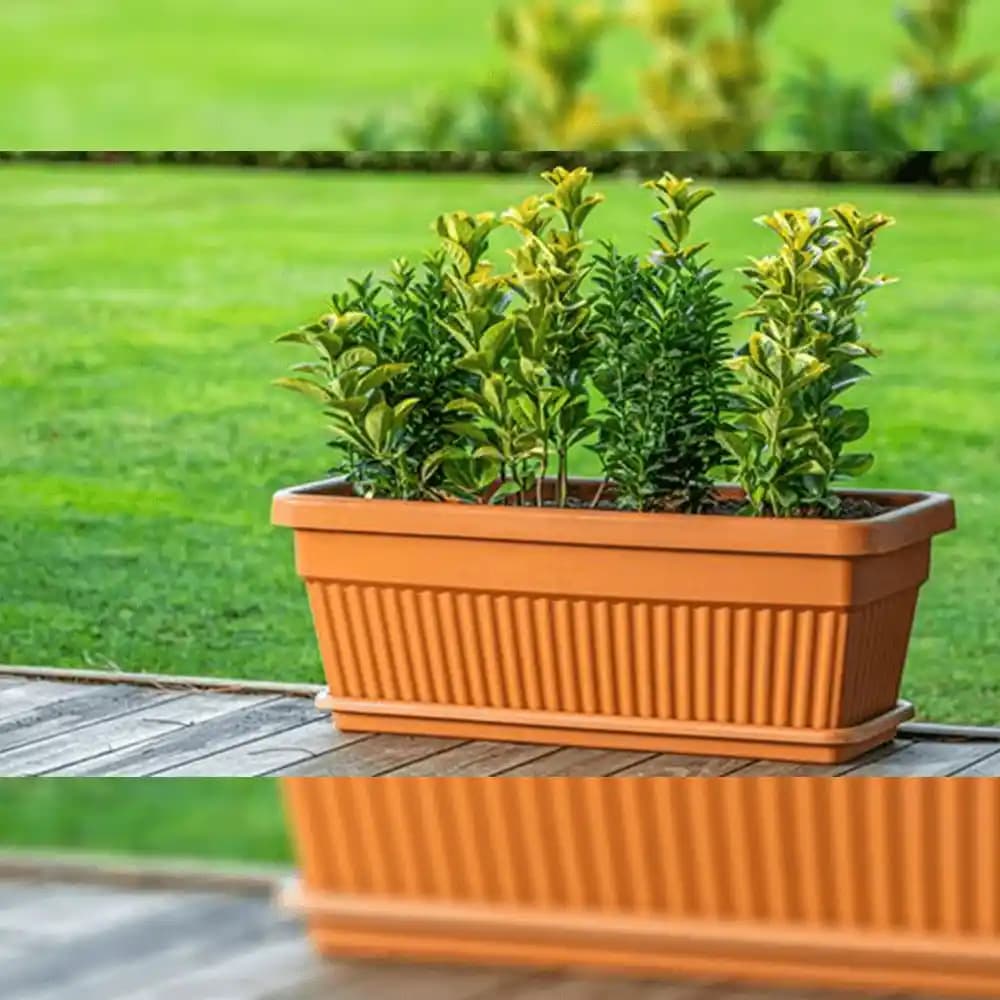 Tabaklı Saksılar ile Dekorasyonda Estetik ve Fonksiyonellik Uygun Çözümler