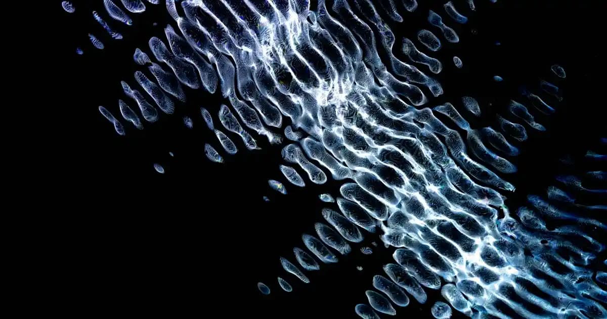 Tahta Kapaklı Kavanozlar ile Dekorasyonda Doğal ve Şık Çözümler