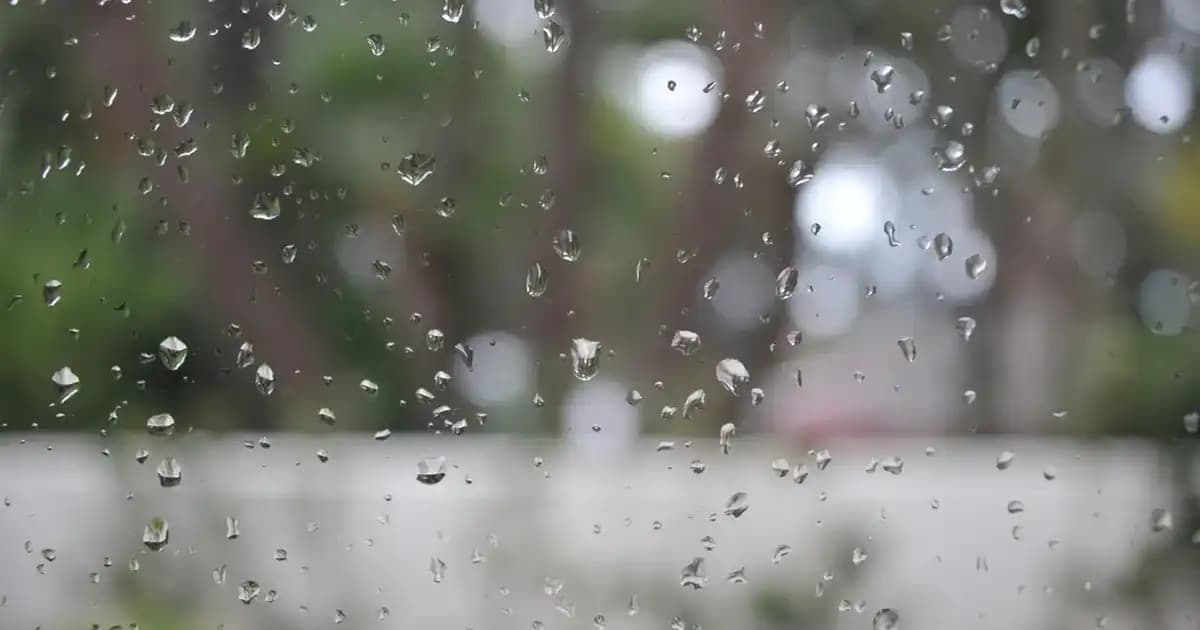 Tarihi Vazoların Dekorasyondaki Yeri ve Zamansız Şıklık Sağlayan Özellikleri