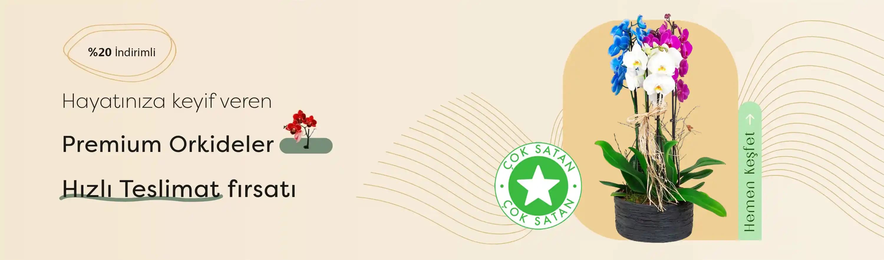 Tarz Çiçeklerle Dekorasyonda Doğal ve Şık Dokunuşlar İçin Kapsamlı Rehber