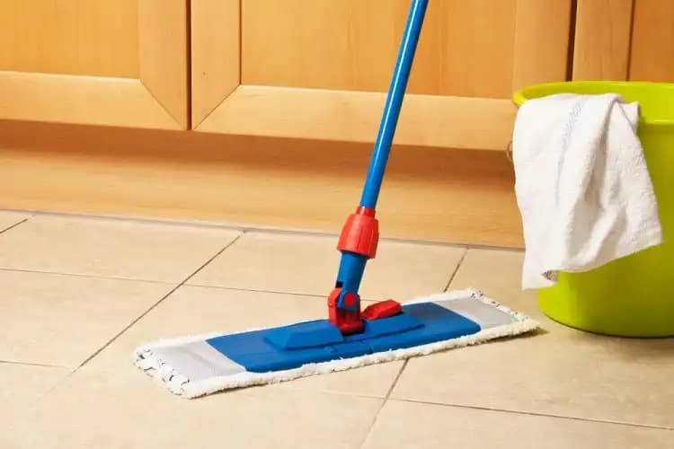 Temizlik Pasas Modelleri ile Dekorasyonda Hem İşlevsellik Hem Estetik Yaklaşımları