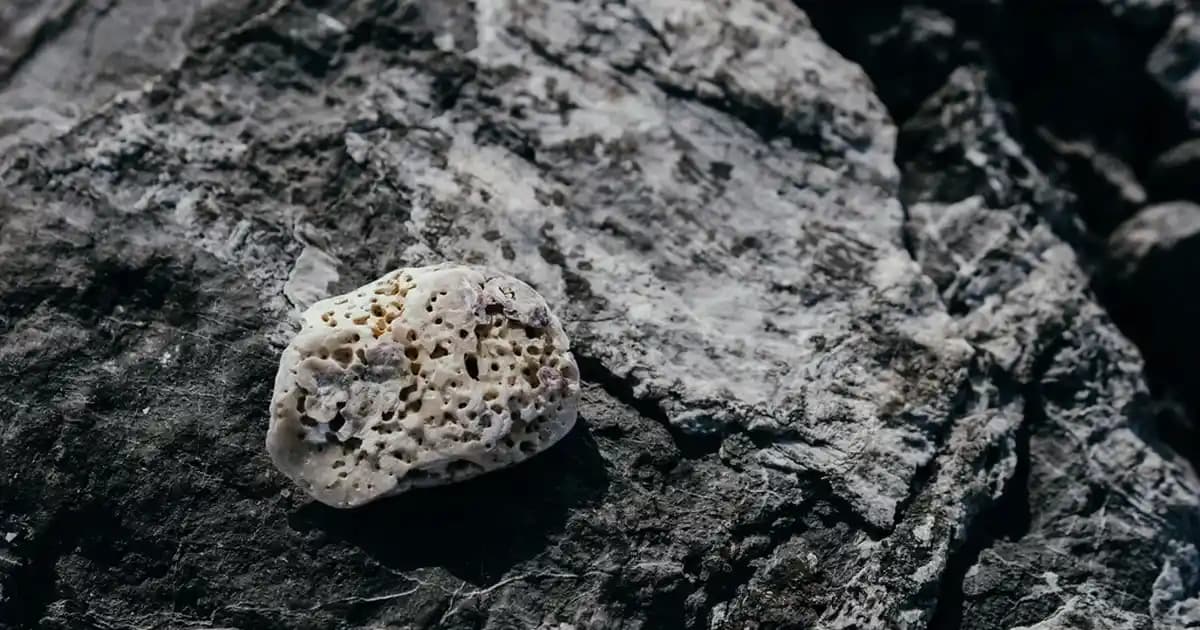 Urfa Çiçeksepeti Ürünleri ile Doğal ve Sıcak Dekorasyon Fikirleri