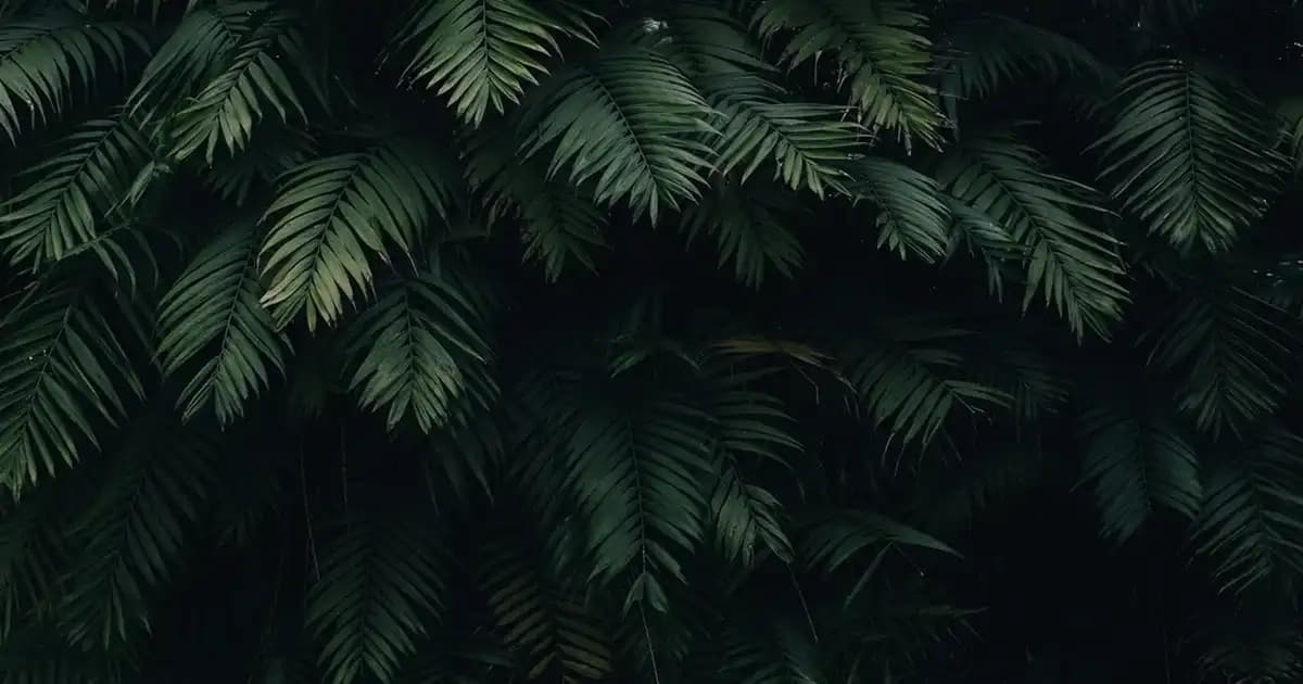 Yeni Yemek Takımlarıyla Dekorasyonda Şıklık ve Fonksiyonellik Bir Arada