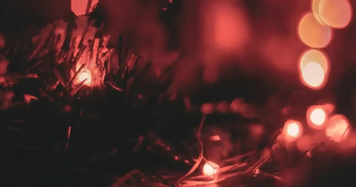 Yeşil Hardal Renginde Koltuk Takımı ile Dekorasyonda Yenilikçi ve Canlı Atmosfer