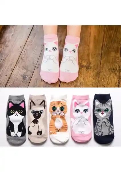 Çorap Kurdu 5'li Sevimli Kedi Desenli Patik Çorap Renkli ve Konforlu Günlük Kullanım İçin