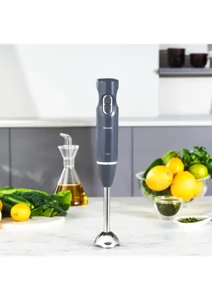 Mutfak İçin En İyi Çubuk Blender Karşılaştırması: CVS Dn 1266 ve Homend Handmaid 2