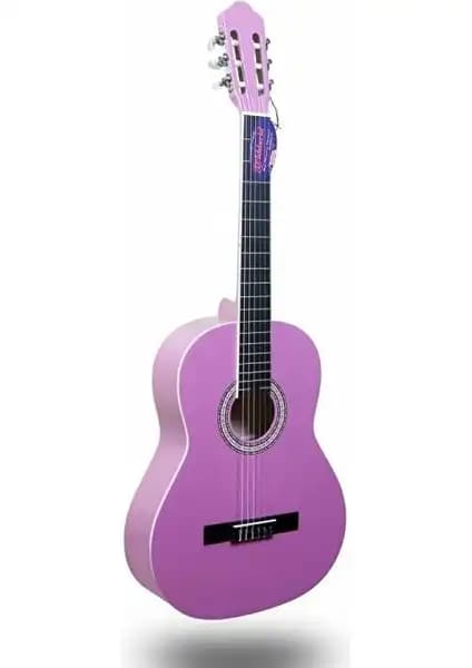 Barcelona LC 3900 PK ve Valencia VC404 Gitar Modellerinin Detaylı Karşılaştırması 1