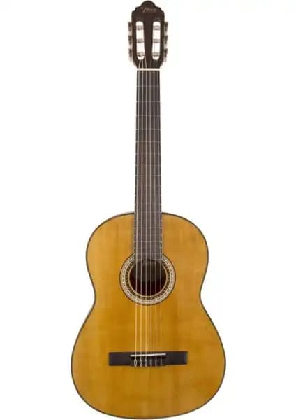 Barcelona LC 3900 PK ve Valencia VC404 Gitar Modellerinin Detaylı Karşılaştırması 2