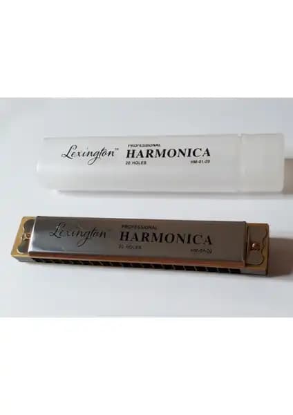 Cremonia Lexington Hm0120 ve Midex HN-10SL Mızıka Modellerinin Karşılaştırması 1