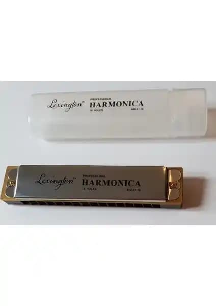Kreemoniya HM0116 ve HM0310 Mızıka Modellerinin Karşılaştırması