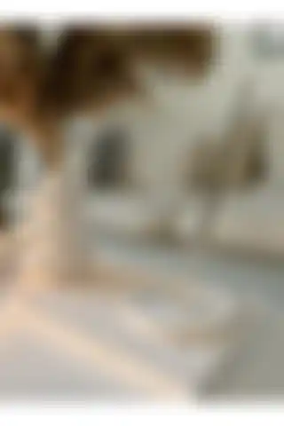 Genel Markalar Twist Vazo Seti: Estetik ve Fonksiyonel Bir Dekorasyon Ürünü