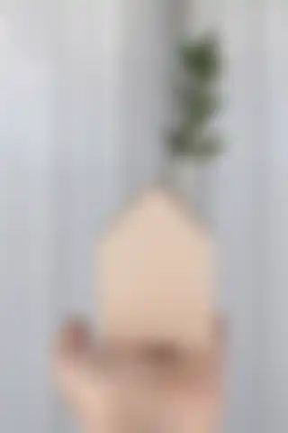 LALEZEN HOME Mini Cam Tüp Vazo Saksılığı: Şık ve Fonksiyonel Bitki Çözümü