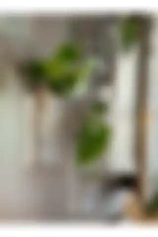 Mıknatıslı Dekoratif Cam Vazolar ile Evinizi Modern Bir Şekilde Tasarlayın