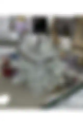 PEKİBU Kristal Nilüfer Obje Gümüş İncelemesi ve Kullanım Alanları hakkında Bilgi