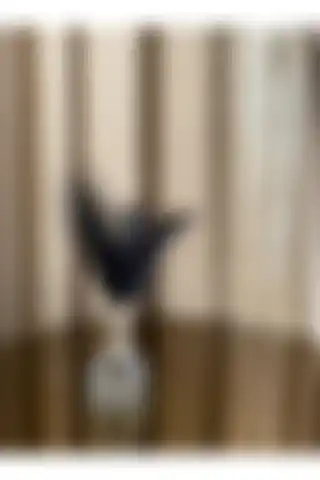 Housess1 Siyah Tüylü Gümüş Kristal Top Tüylük Dekor Biblosu ile Evinizi Süsleyin