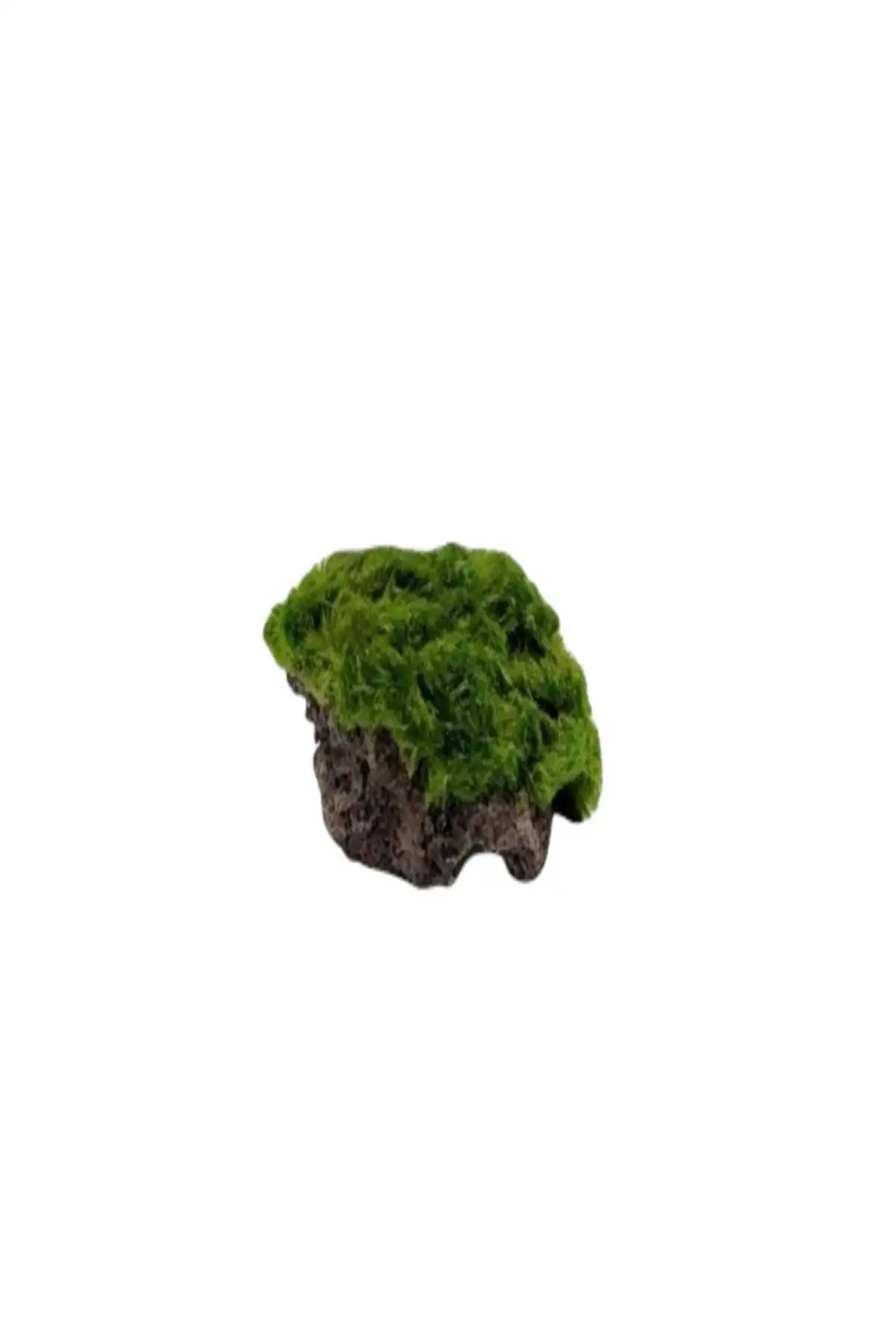 Marimo Scape: Doğanın Huzurunu Ev İhtiyaçlarınıza Taşıyan Özel Ürün