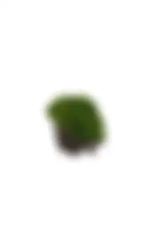 Marimo Scape: Doğanın Huzurunu Ev İhtiyaçlarınıza Taşıyan Özel Ürün