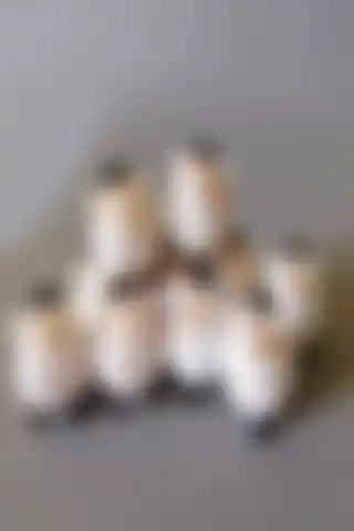 Himi Teraryum Objeleri ile Evinizi Süsleyin ve Doğallık Katın