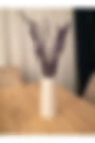 Manos Expertas Özel Tasarım Beyaz Vazo ile Evinize Doğal Şıklık Katın
