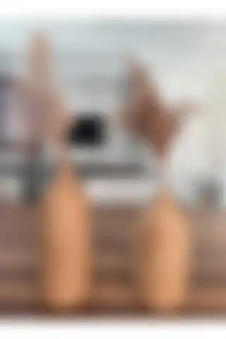Wotrart Dekoratif Vazo Saksı ile Mekanınıza Sıcak Bir Dokunuş Katın