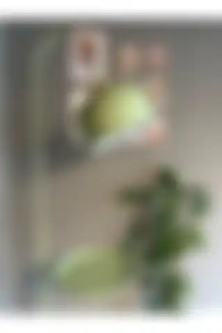 Bamyum Mint Lambader: Modern Tasarım ile Şık Aydınlatma Çözümü