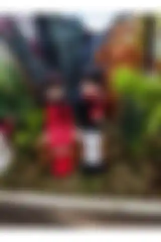 Himi Teraryum Objeleri ile Modern Bir Dekorasyon Yaratın ve Atmosferinizi Zenginleştirin