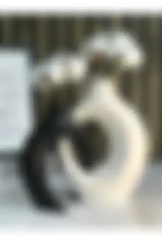 Luthien Sarmaşık Vazo Seti ile Modern Tasarım ve Şıklığı Keşfedin