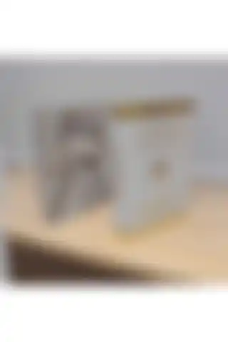 NARİBA Dekoratif Kitap Kutusu Seti ile Şık ve Kullanışlı Ev ve Ofis Dekoru