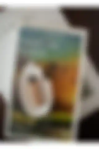 NocheLuz El Şeklinde Tütsülük ile Evinizdeki Atmosferi Dönüştürün