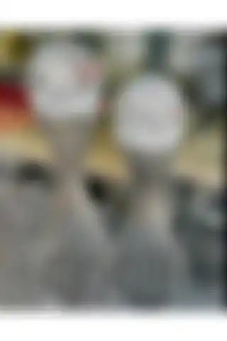 DECOOR MALL 2'li Küre Çapraz Ayak Seti ile Modern Dekorasyonunuzu Tamamlayın