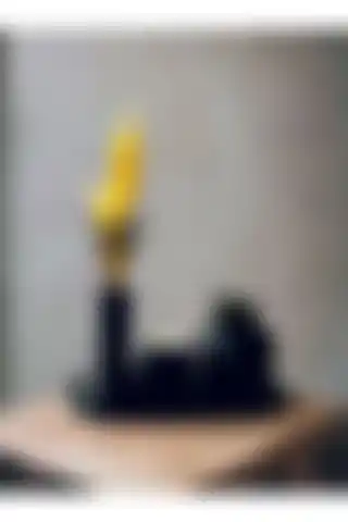Stonnish 4 Parça Minimalist Bubble Sukulent ve Mumluk Seti ile İç Mekanınıza Şıklık Katın