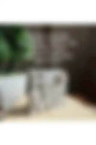 Home Yazılı Dekoratif Biblo ile Estetik ve Fonksiyonel Ev Dekorasyonu