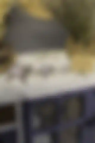 caMekan 3’lü Taşlı Kaplumbağa Biblo Seti ile Ev Dekorasyonunuza Şıklık Katın