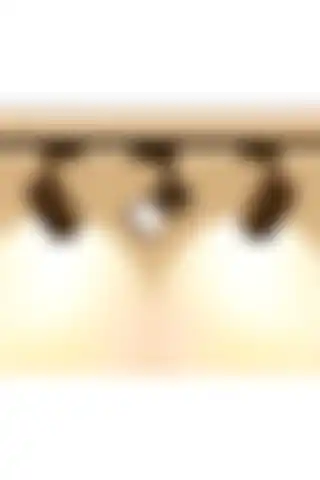 Modern Vitrin Aydınlatması için Led Siyah Kasa 30w Ray Spot Armatür İncelemesi