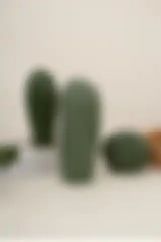 Patience Modern Beton 3'lü Kaktüs Biblo Seti ile Evinizde Şıklığı Yakalayın