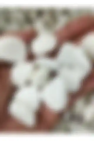 Lampello Beyaz Dolomit Taş ile Estetik ve Fonksiyonel Dekorasyon Fırsatları