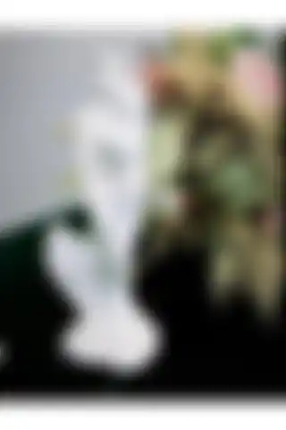Abacıshop Sevgili Aşıklar Gelin Damat Biblo - Modern Dekorasyona Şıklık Katın