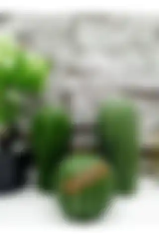 Elvanhobi Dekoratif 3'lü Kaktüs Biblo ile Evinize Doğanın Estetiğini Yansıtın