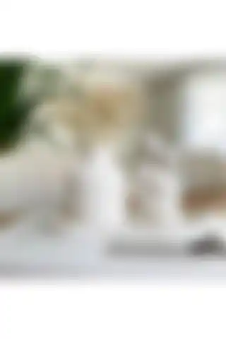 LINECRAFT İskandinav Dekoratif Vazo ve Biblo Seti ile Modern Yaşam Alanları Yaratın