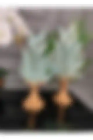 SZN DEKOR 2'li Yaprak Konsol Üstü Dekoratif Obje ile Estetik ve Fonksiyonellik
