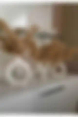 Ucanlight Dekoratif Büyük Boy Iskandinav 2'li Vazo Seti ile Modern İç Mekanlar