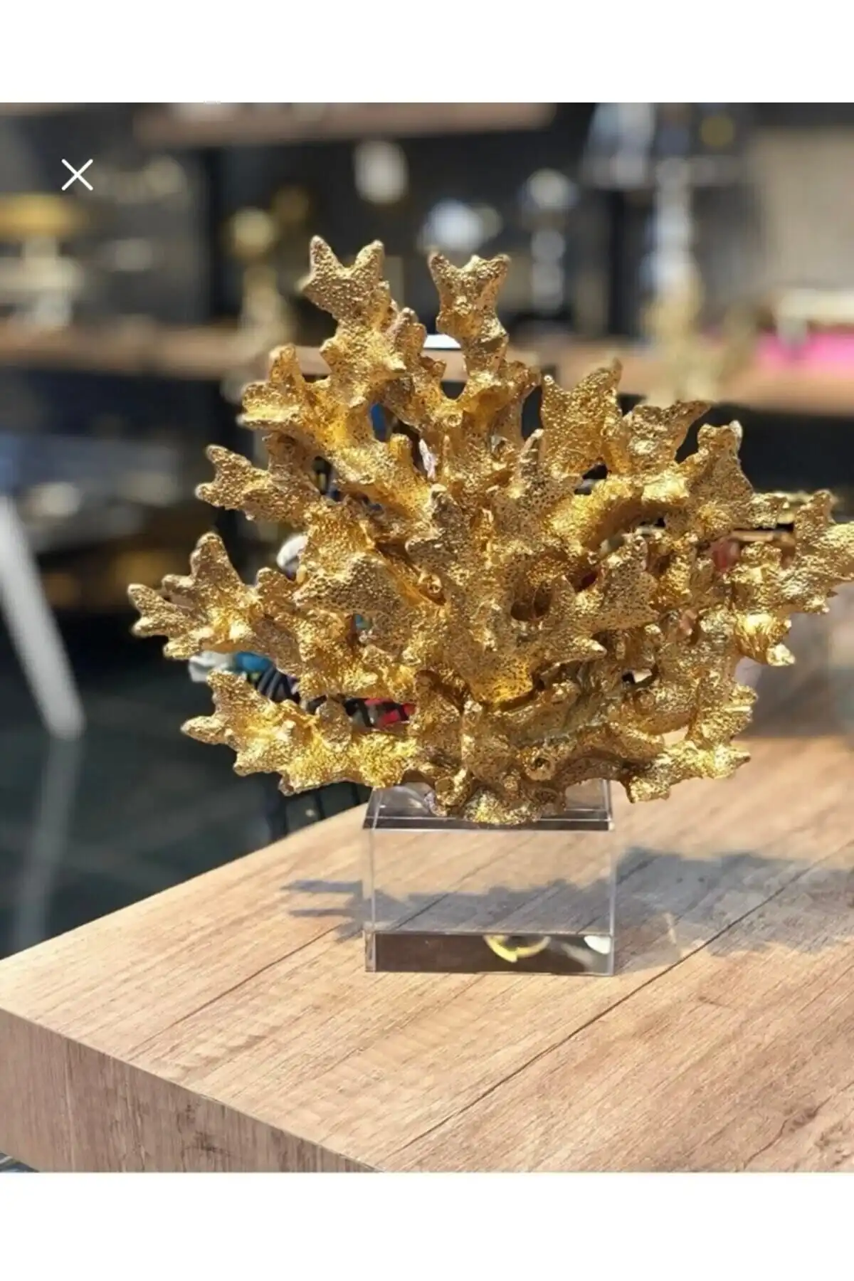 Kristal Kaideli Mercan ile Modern ve Şık Dekorasyon: Fonksiyonel Estetik